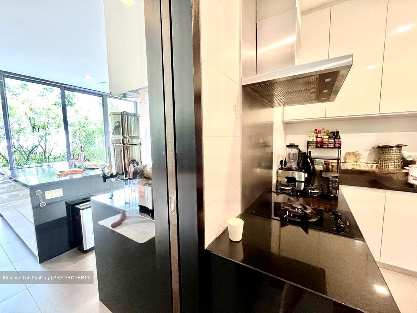 Leedon Heights (D10), Detached #455048651